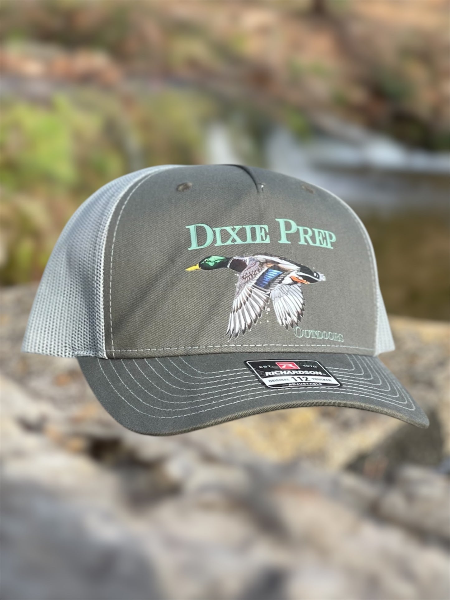 Dixie Duck Beetle